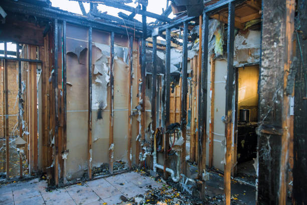 Professional Odor Removal technician working in Dunthorpe, OR